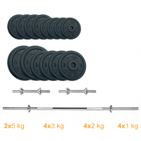 Набір штанга та гантелі Newt Gym Set-H Home 45 кг