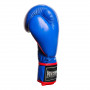 Боксерские Перчатки PowerPlay 3018 Синие 10 Унций