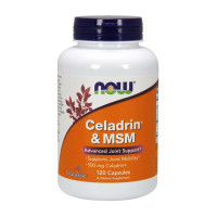 Celadrin &amp; MSM (120 caps)