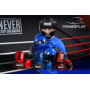 Боксерские Перчатки PowerPlay 3017 Красные Карбон 8 Унций