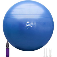 Мяч для фитнеса (фитбол) WCG 65 Anti-Burst 300кг Голубой + насос