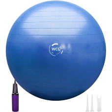 Мяч для фитнеса (фитбол) WCG 65 Anti-Burst 300кг Голубой + насос