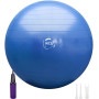 Мяч для фитнеса (фитбол) WCG 65 Anti-Burst 300кг Голубой + насос