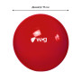 Мяч для фитнеса (фитбол) WCG 75 Anti-Burst 250кг Красный + насос