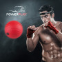 Файтбол набір 3 шт. PowerPlay 4320 Fight Ball Set