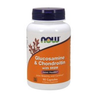 Glucosamine &amp; Chondroitin with MSM (90 caps)
