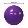 Мяч для фитнеса (фитбол) WCG 65 Anti-Burst 300кг Фиолетовый + насос