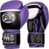 Боксерські рукавички PRO BOXING Series Deluxe Starter Boxing Gloves
