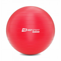 Фитбол Hop-Sport 55cm HS-R065YB red + насос