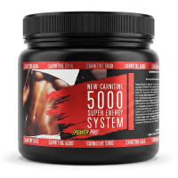 Power Pro Carnitine 5000 Super Energy (500 g, кавун)