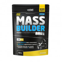 Mass Builder (1,2 kg, strawberry yoghurt)
