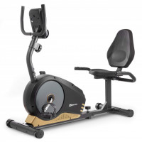 Горизонтальный велотренажер HS-040L Root black / gold / grey - model 2020
