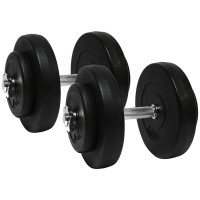 Гантели с металлическим грифом WCG 2 шт по 10 кг