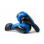 Боксерские Перчатки PowerPlay 3020 Сине-Черные 16 Унций