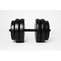 Гантель WCG 25 кг