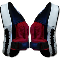 Боксерські лапи RING TO CAGE RTC-6047 пара