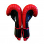 Боксерські рукавички RING TO CAGE Gym Training Gloves