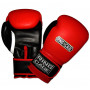 Боксерські рукавички RING TO CAGE Gym Training Gloves