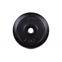 Млинець 2,5 кг DESPORT у пластику