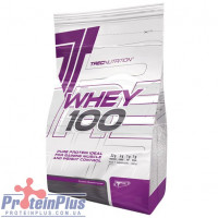 Whey 100 (900 g, chocolate-coconut)