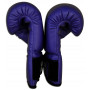 Детские боксерские перчатки RING TO CAGE Kids Boxing Gloves