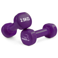 Гантель PowerPlay Achilles 2 шт по 2,5 кг