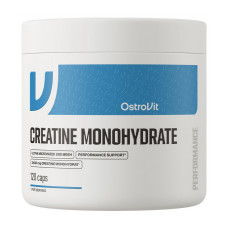 Creatine Monohydrate 3300 (120 caps)