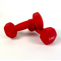 Гантели 2 шт по 2 кг DESPORT FITNESS металл