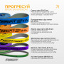 Набір двошарових резинок для підтягування EasyFit Premium 2-63 кг (5 шт) Набір двошарових резинок для підтягування EasyFit Premium 2-63 кг (5 шт)
