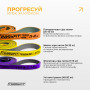 Набір двошарових резинок для підтягування EasyFit Premium 7-45 кг (3 шт) Набір двошарових резинок для підтягування EasyFit Premium 7-45 кг (3 шт)