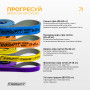 Набір двошарових резинок для підтягування EasyFit Premium 7-63 кг (4 шт) Набір двошарових резинок для підтягування EasyFit Premium 7-63 кг (4 шт)
