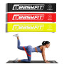 Резинки для фитнеса EasyFit (3 шт)