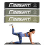 Резинки для фитнеса EasyFit MonoBand набор 3 шт Резинки для фитнеса EasyFit MonoBand набор 3 шт