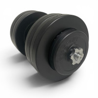 Гантеля EVG-Sport 25 кг з металевим грифом 480 мм (1 шт)